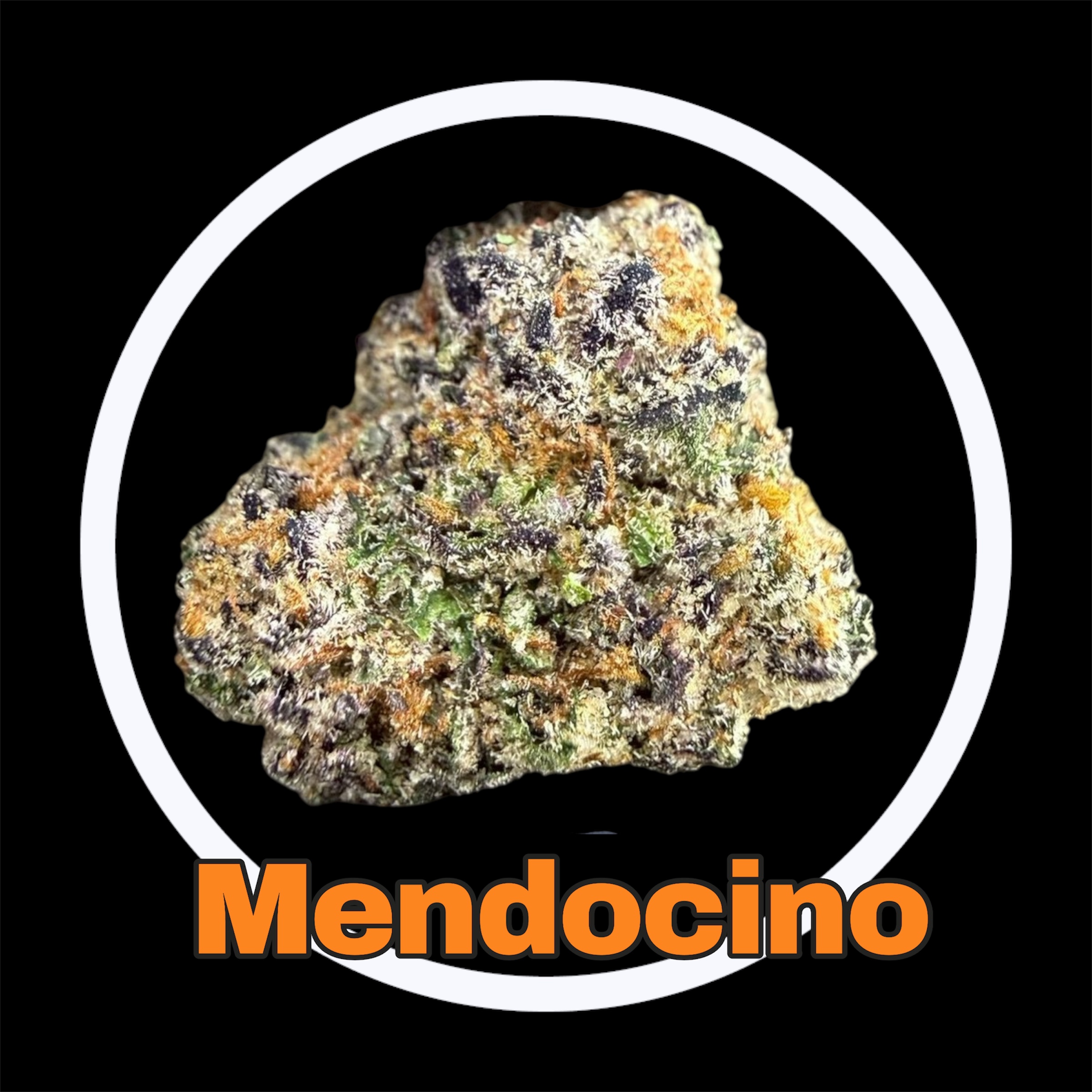 20-03-26 09-31-43pm.jpg